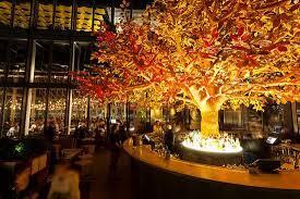Sushisamba Tree Terrace